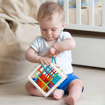 Shape Sorter Baby Toys