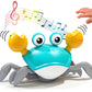 Crawling Crab Infant Tummy Time Toys