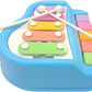 2 in 1 Xylophone and Piano Toy