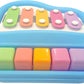 2 in 1 Xylophone and Piano Toy