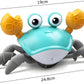 Crawling Crab Infant Tummy Time Toys