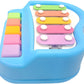 2 in 1 Xylophone and Piano Toy